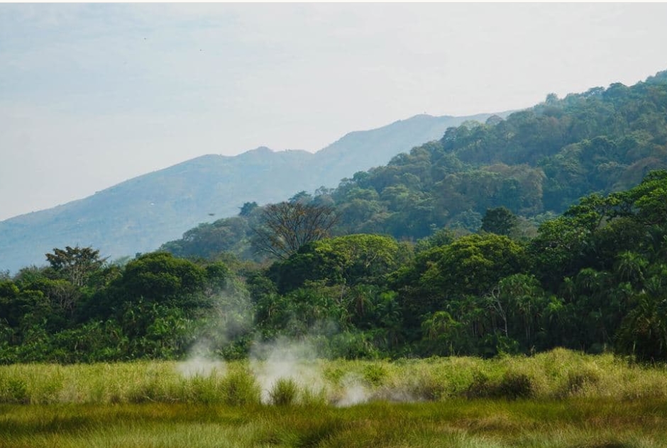 What is the Best Number of Days for a Semuliki Safari