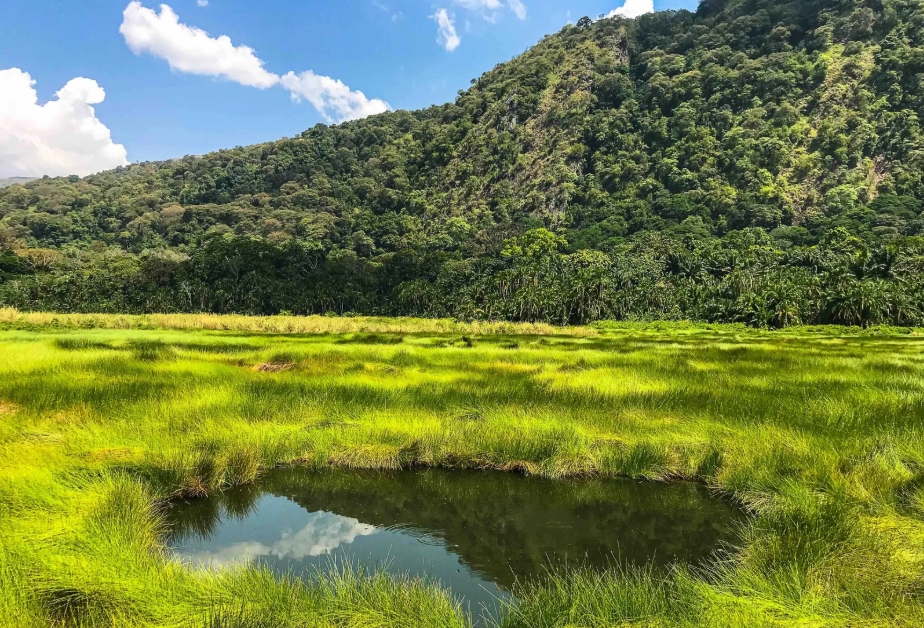 Why is Semuliki the Best Alternative Safari Destination in Uganda
