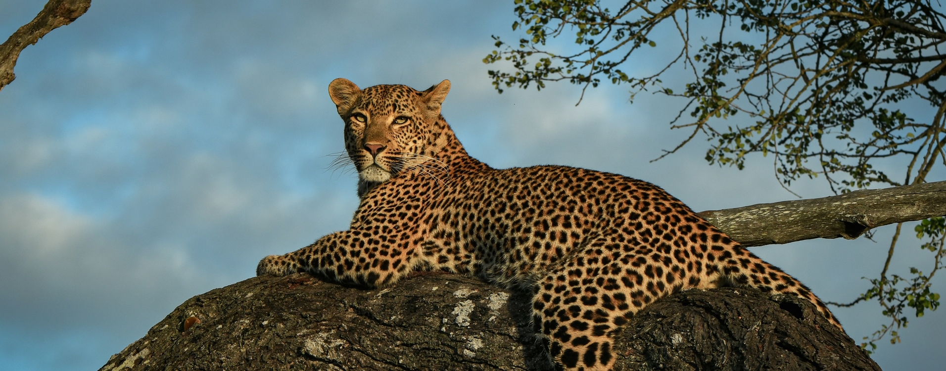 18-Day Budget Kenya Wildlife and Adventure Safari