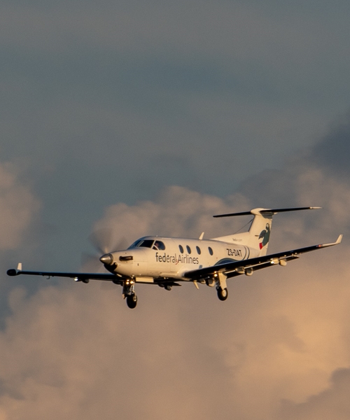 2-Day Serengeti Fly in Wildlife Tour