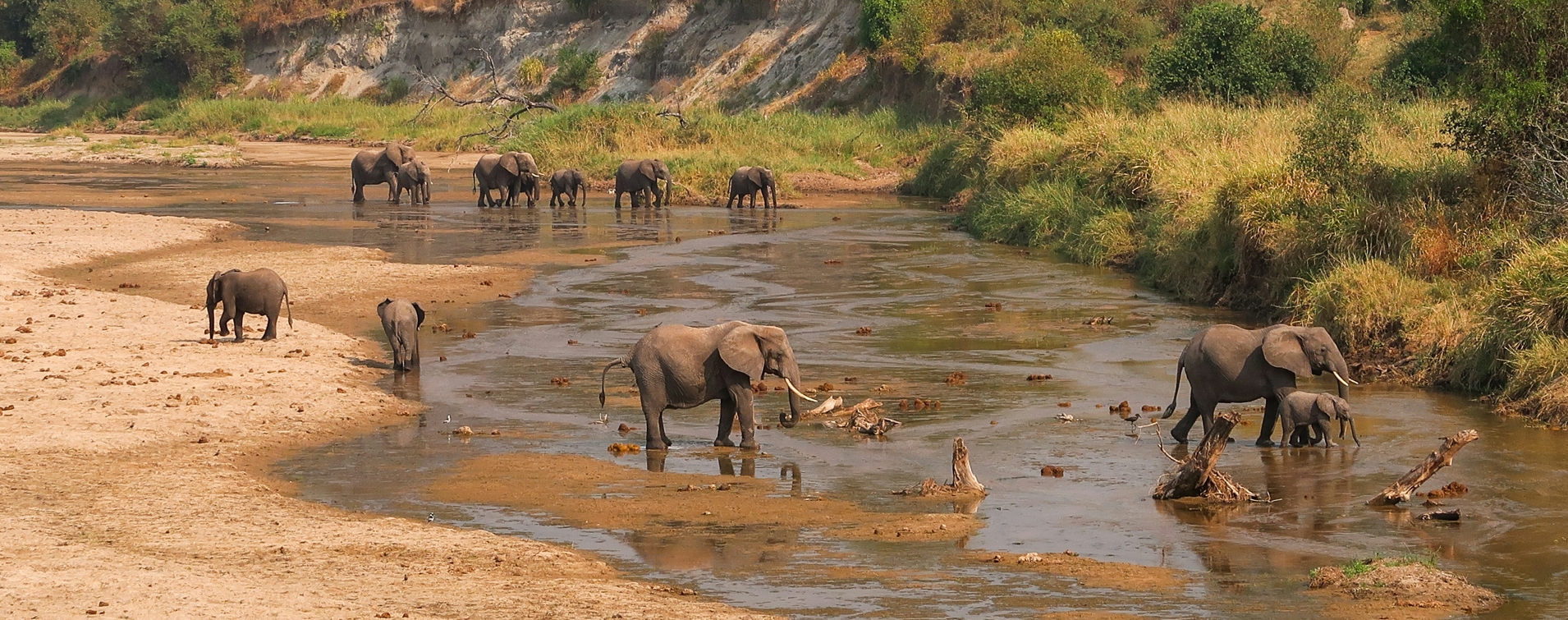 7-Day Tanzania’s Tarangire, Serengeti, Ngorongoro, and Lake Manyara Wildlife Safari