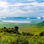 A Guide to the Ngorongoro Conservation Area.
