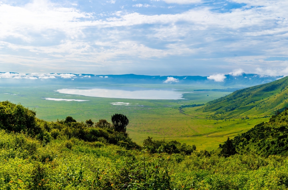 A Guide to the Ngorongoro Conservation Area.