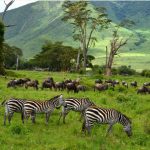 Activities in the Ngorongoro Conservation Area.