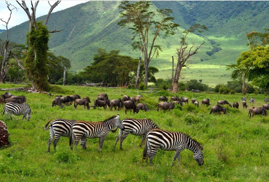 Activities in the Ngorongoro Conservation Area.