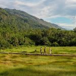 Best Time to Have Short Safaris in Semuliki National Park