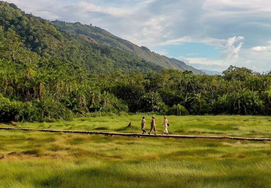 Best Time to Have Short Safaris in Semuliki National Park