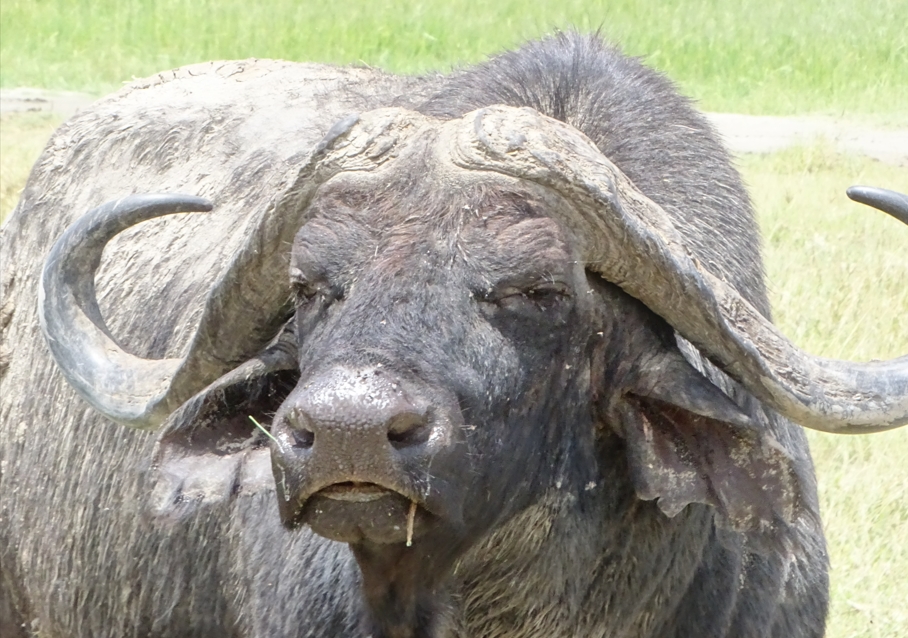 Best Time to Visit Ngorongoro Conservation Area.