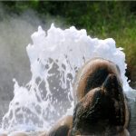 Cultural Beliefs About the Formation of Semuliki Hot Springs