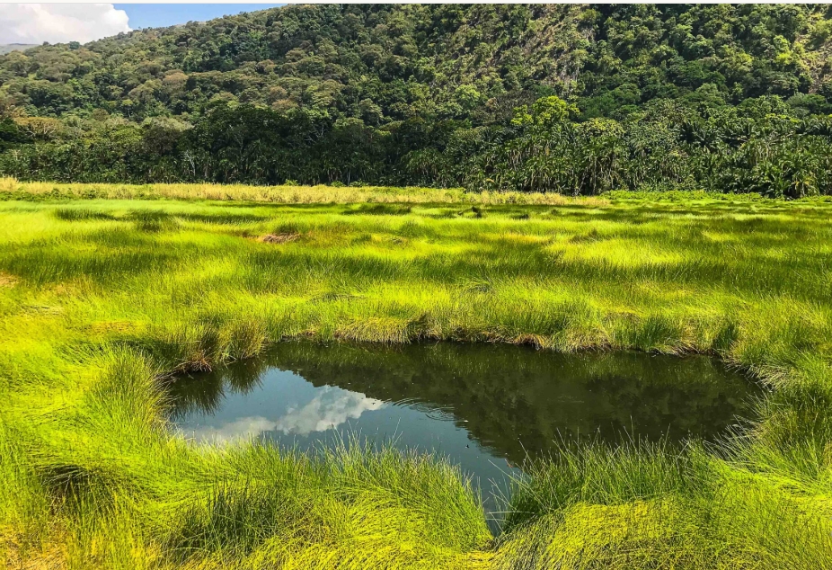 Dry Safari to Semuliki National Park