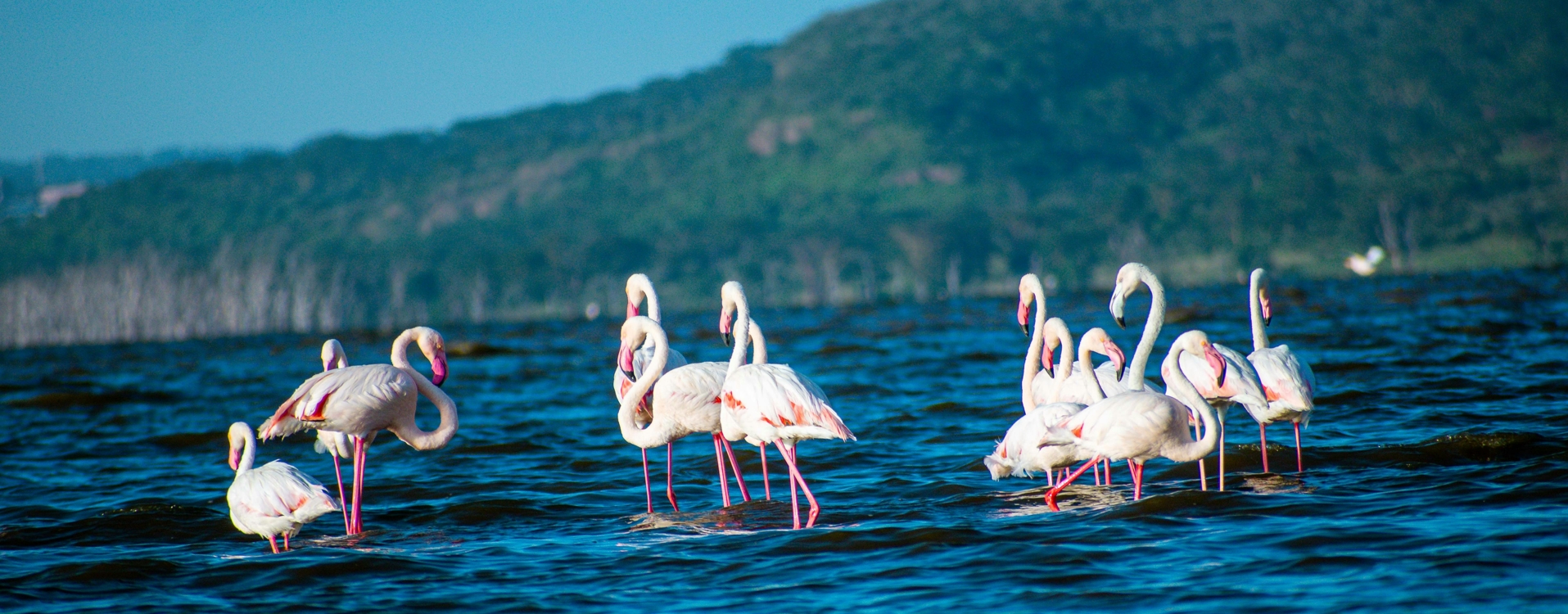 Lake Nakuru National Park