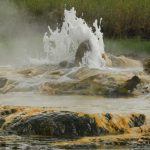 Visiting Semuliki National Park