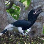 What Makes Semuliki National Park a Safe Destination for Tourists
