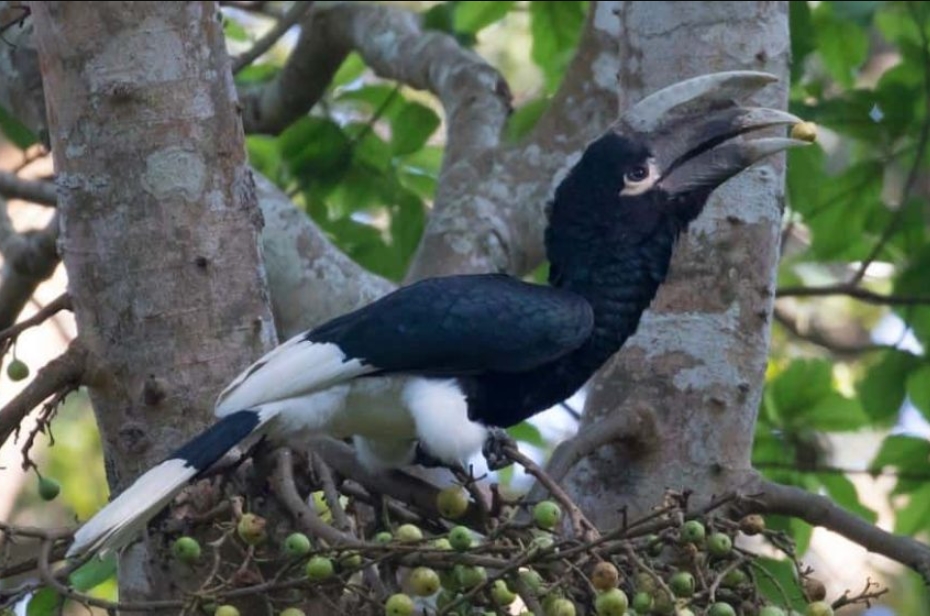 What Makes Semuliki National Park a Safe Destination for Tourists