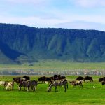 Why Visit Ngorongoro Conservation Area.