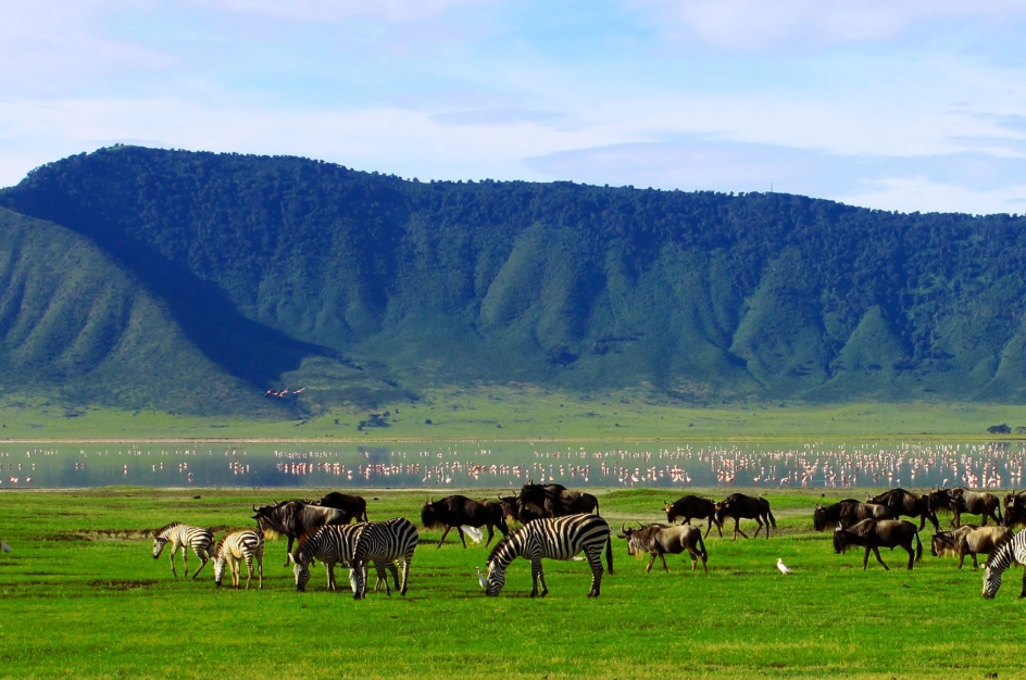 Why Visit Ngorongoro Conservation Area.